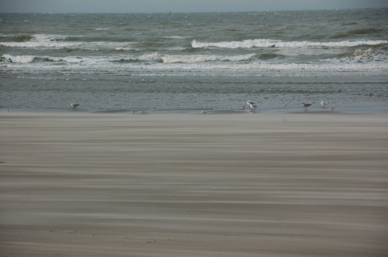 dsc_1848.jpg