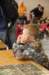 dsc_1785_small.jpg