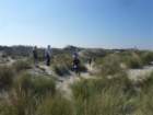 gtn2011dunes3_small.jpg