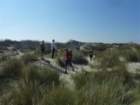 gtn2011dunes4_small.jpg