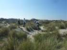 gtn2011dunes5_small.jpg