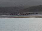 oman10201010_small.jpg