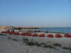 oman10201020_small.jpg