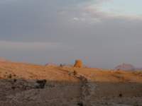 omantrail122_small.jpg