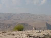 omantrail136_small.jpg