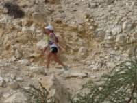 omantrail245_small.jpg