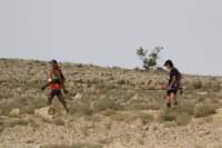 omantrail259_small.jpg