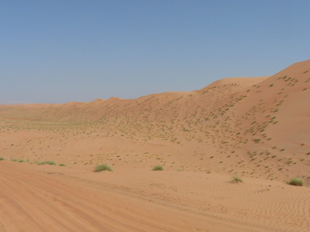 omantrail47.jpg