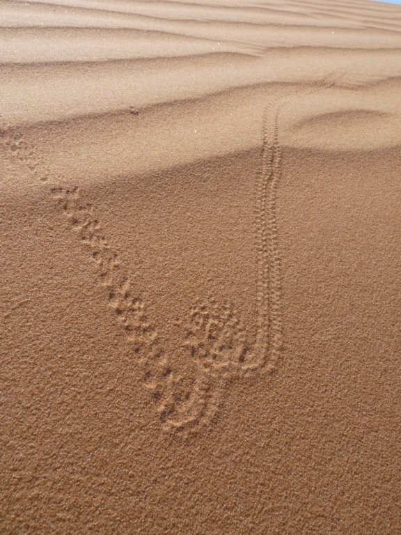 omantrail49.jpg