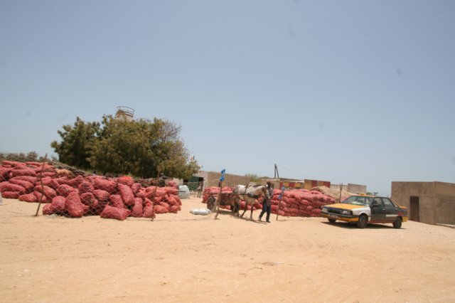 avdenturerstrackofsenegal107.jpg