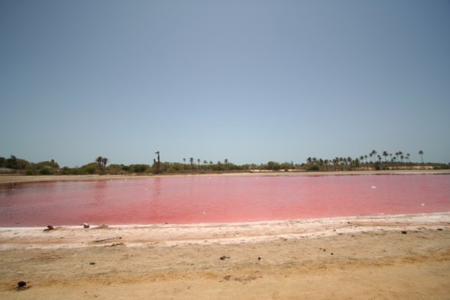 avdenturerstrackofsenegal109.jpg