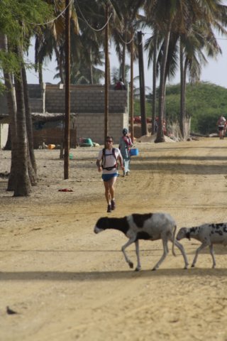 avdenturerstrackofsenegal17.jpg