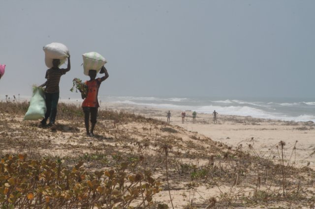 avdenturerstrackofsenegal209.jpg