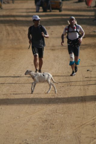 avdenturerstrackofsenegal38.jpg