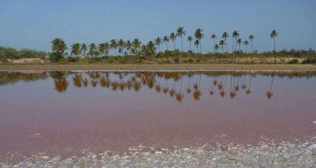 avdenturerstrackofsenegal7.jpg