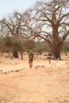 grandraiddogon167_small.jpg