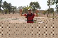grandraiddogon350_small.jpg