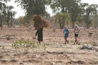 grandraiddogon369_small.jpg
