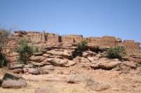 grandraiddogon478_small.jpg